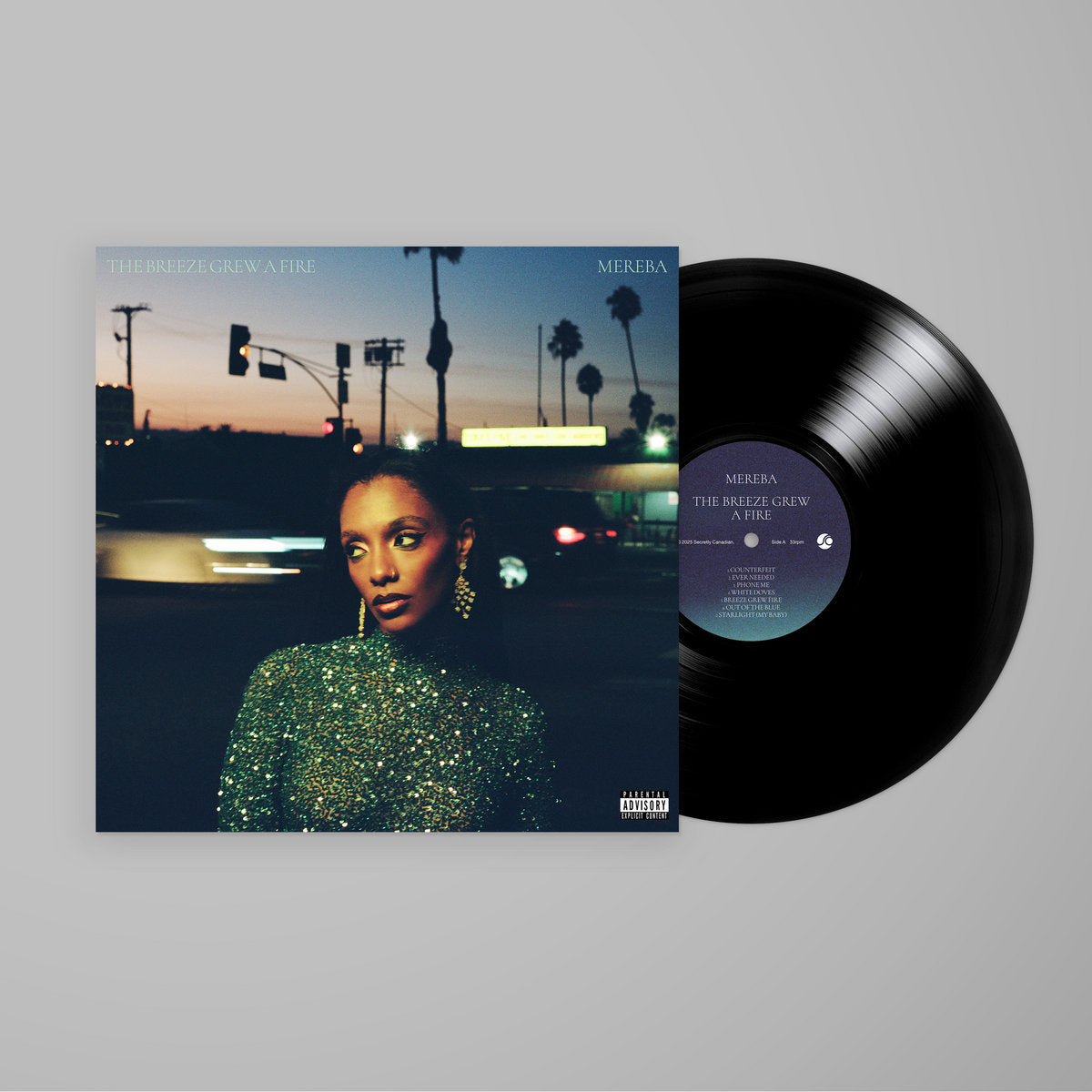 The Breeze Grew a Fire - Black Vinyl